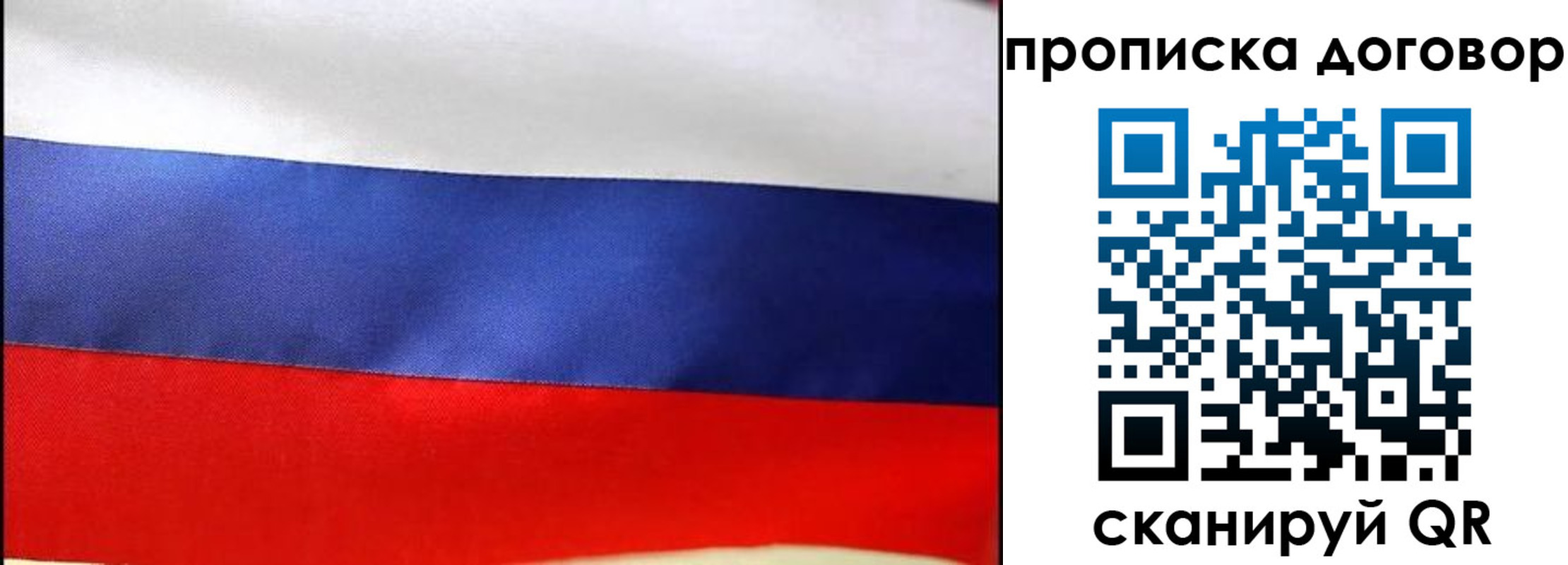 прописка гарантия в Зеленоградске