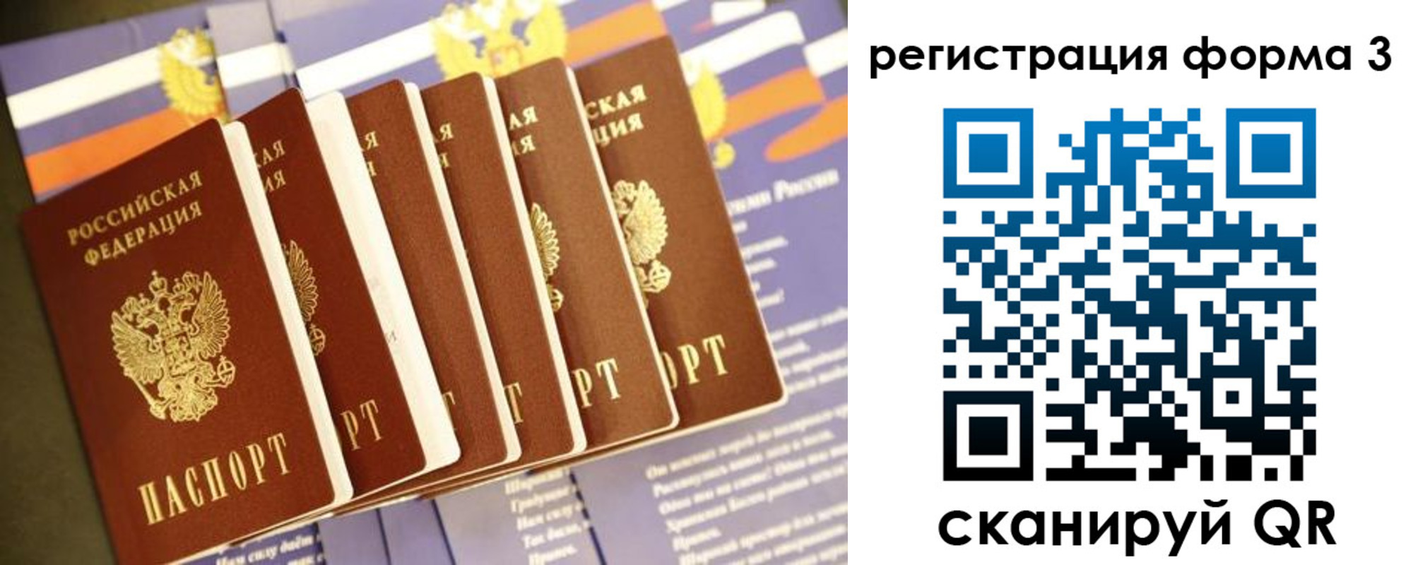 прописка поиск в Зеленоградске