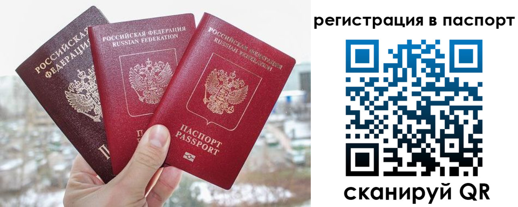 регистрация для школы в Зеленоградске